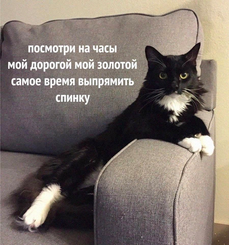 посмотри на часы мой дорогой мой золотой самое время выпрямить спинку
