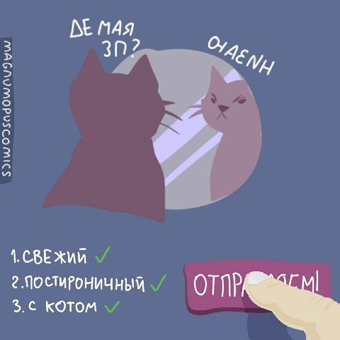 МАЯ 3 3 3 Xun КОТОМ