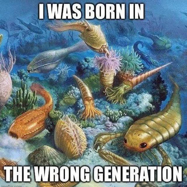 BORN IN 7 THE WRONG GENERATION