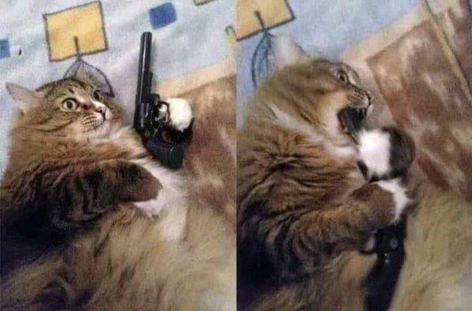 2 2
