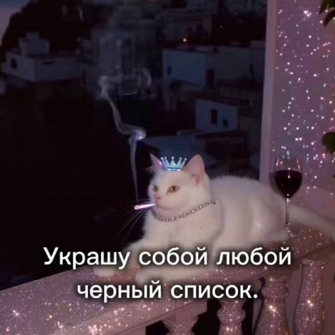 Украшу собой любой черный список.