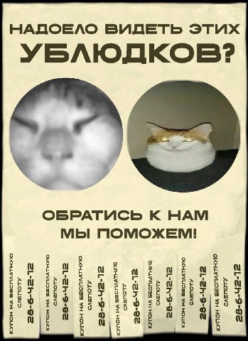 НАДОЕЛО ВИДЕТЬ ЭТИХ ОБРАТИСЬ К НАМ МЫ ПОМОЖЕМ! Во то то то то