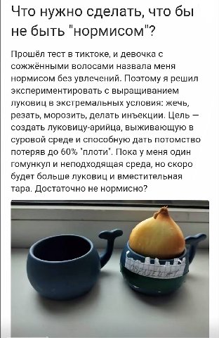 Что нужно сделать, что бы И И не быть "нормисом"? Прошёл тест в тиктоке, и девочка с сожжёнными волосами назвала меня нормисом без увлечений. Поэтому я решил экспериментировать с выращиванием луковиц 