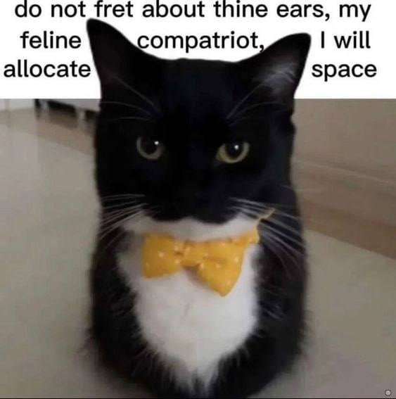not fret about thine ears, my feline ompatriot will allocate space