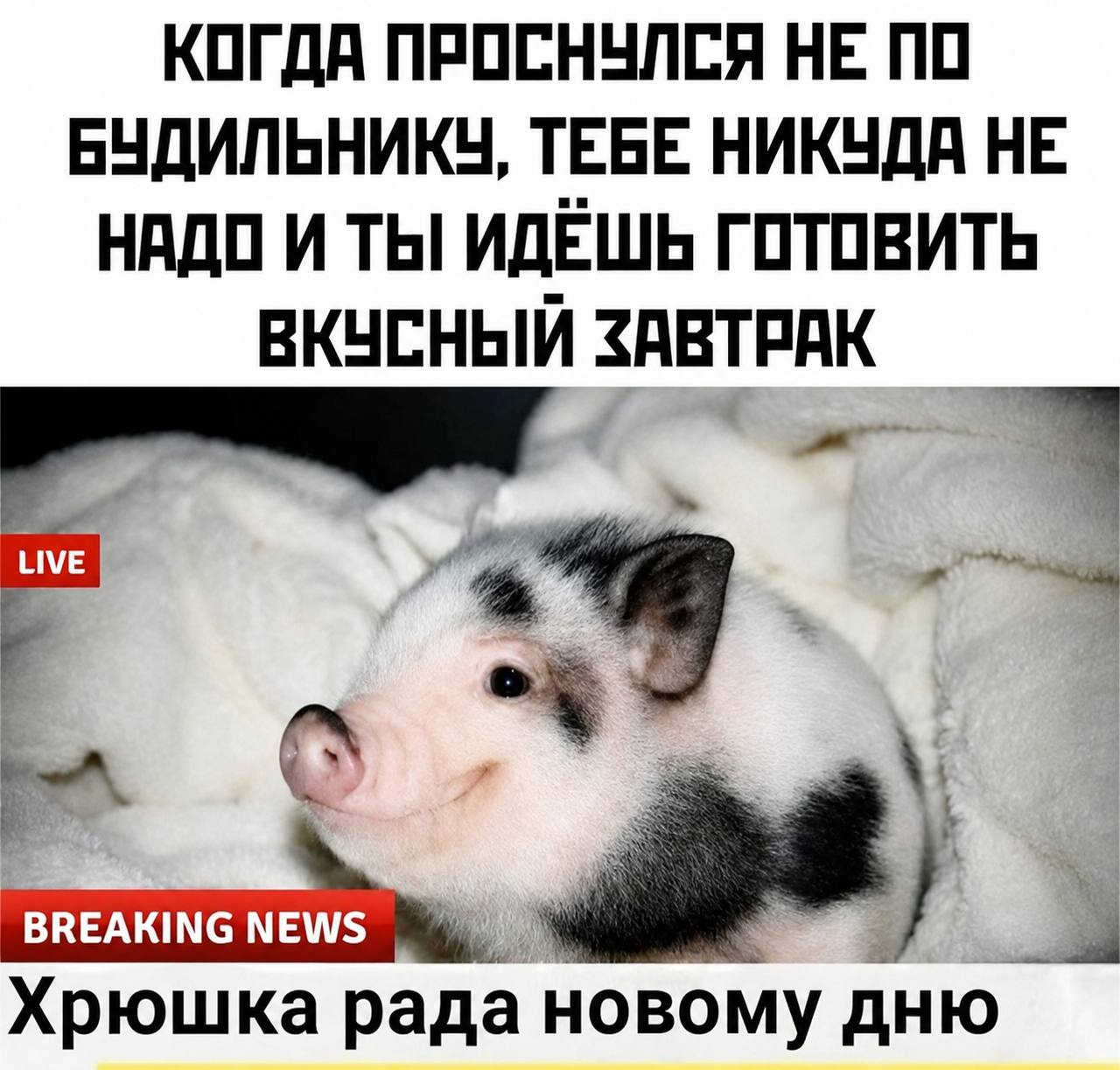 каждый день летом: