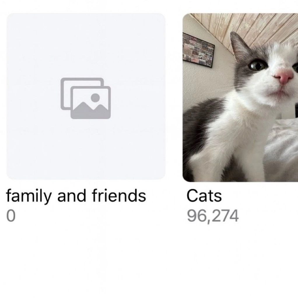 family and friends Cats 0 96,274