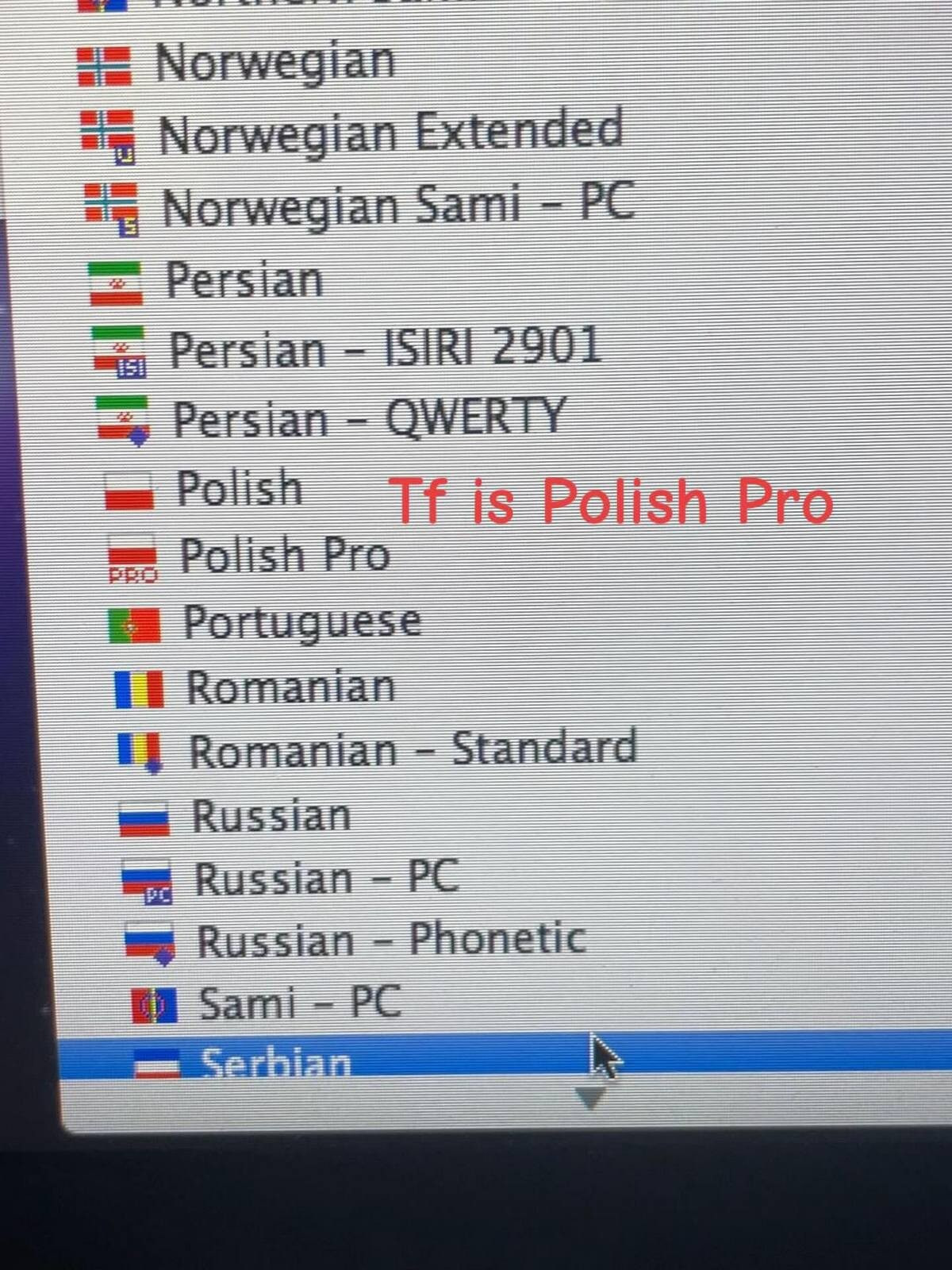 Norwegian Extended Norwegian Sami Persian Persian Persian If Polish Polish Pro Portuguese 18 Romanian Romanian Standard Russian we Russian Russian Phonetic Sami SSS