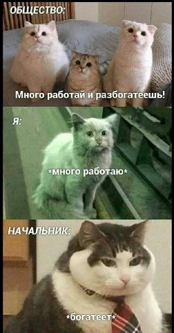 ОБЩЕСТВО Много работай и разбогатеешь! Я: *много работаю* НА ЧАЛЬНИК: i! «богатеет»