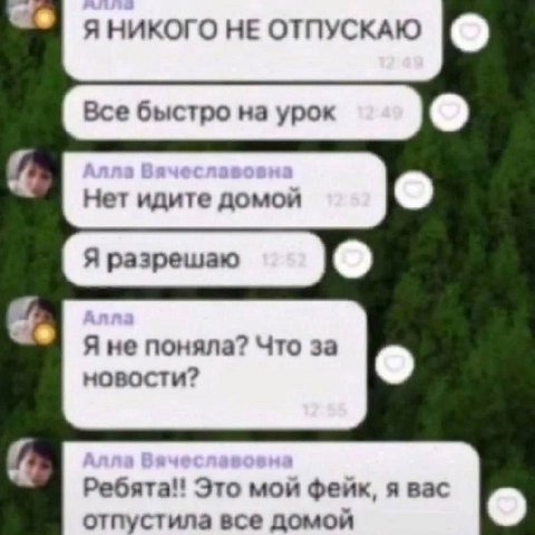 HE ОТПУСКАЮ Все быстро на урок Нет идите домой к Я не поняла? Что за новости? Ребята! Это мой фейк, я вас отпустила все домой