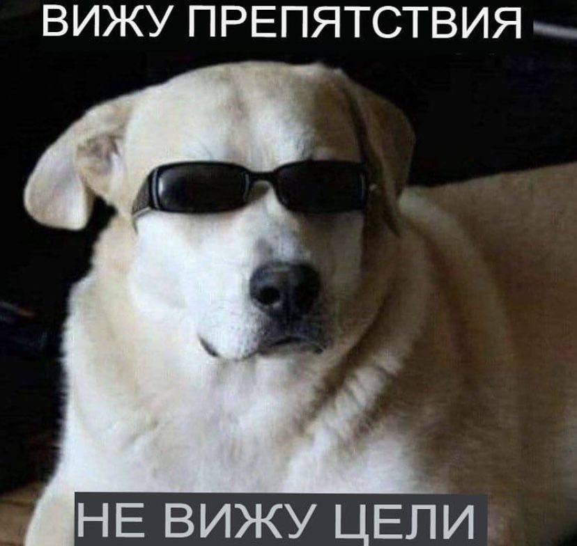 ВИЖУ ПРЕПЯТСТВИЯ ВИЖУ ЦЕЛИ.