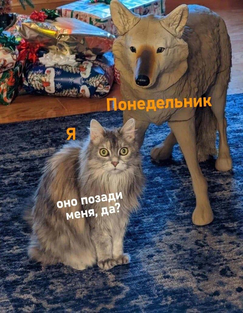 OHO позаду меня, да: