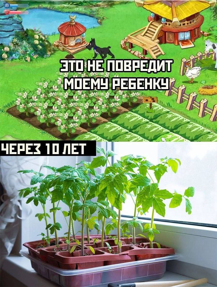 ЭТОНЕ ПОВРЕДИТ a РЕБЕНКУ” rag ang 3? 3° ЧЕРЕ$ 10 a