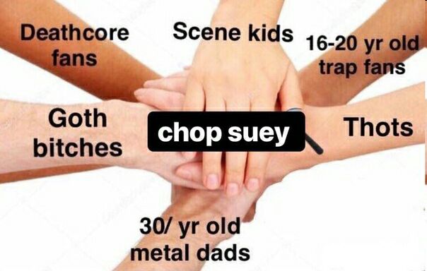 Scene kids Goth Thots bitches a 30/ old metal dads