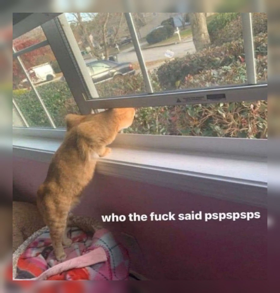 who the fuck said pspspsps