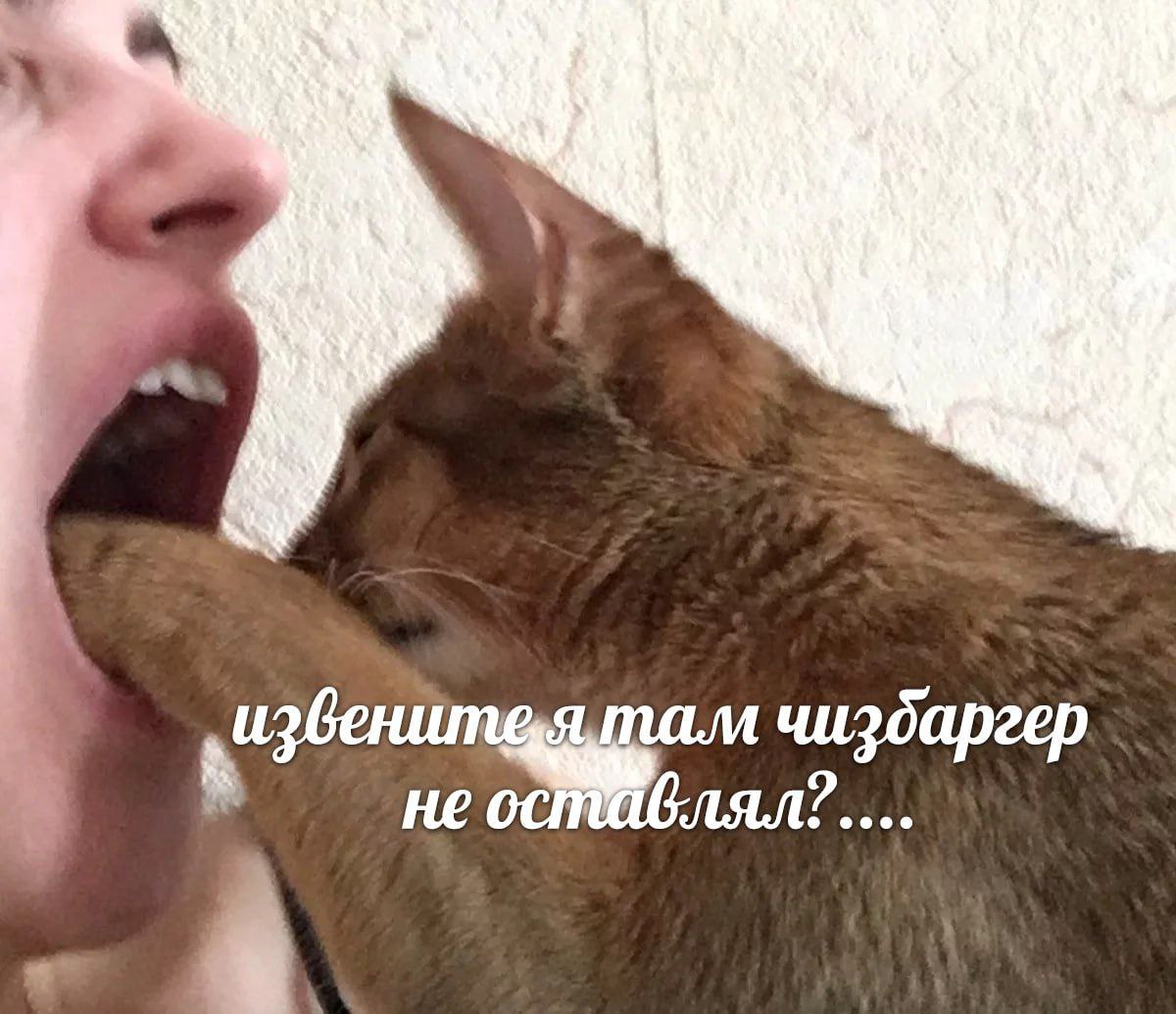 чизбаргер не