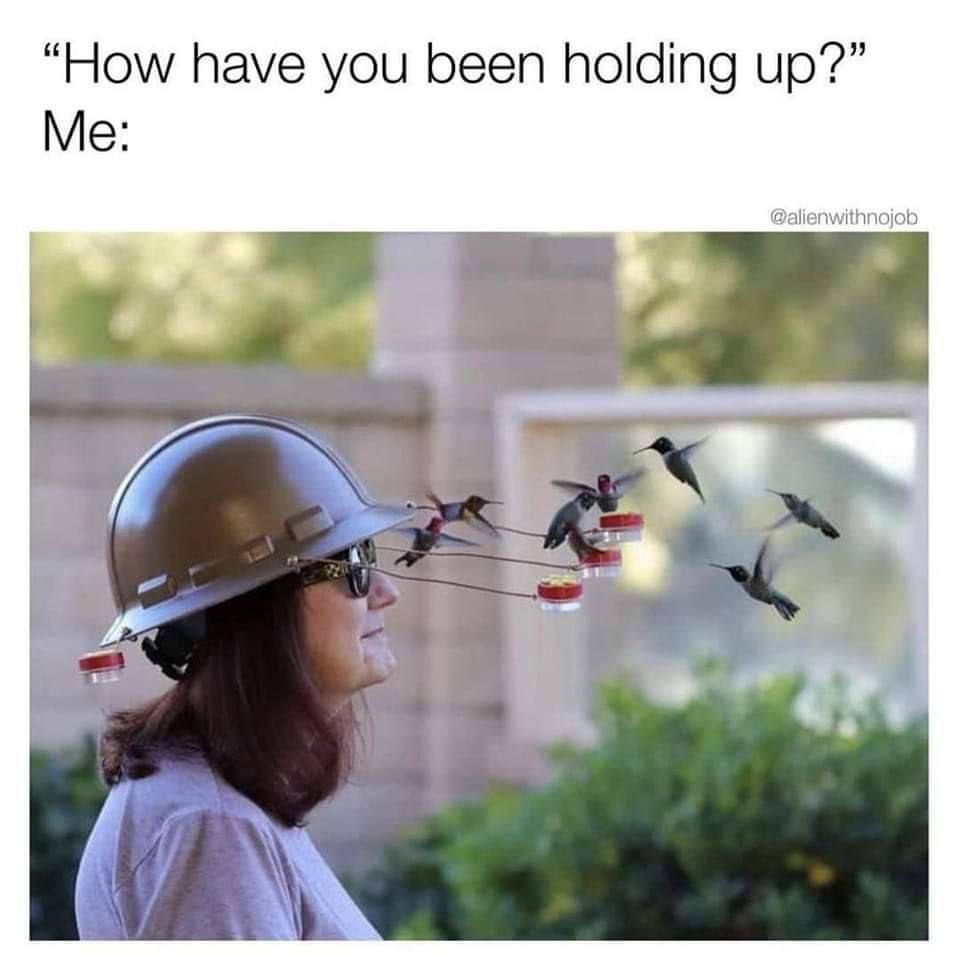 “How have you been holding up?” Me: @alienwithnojob