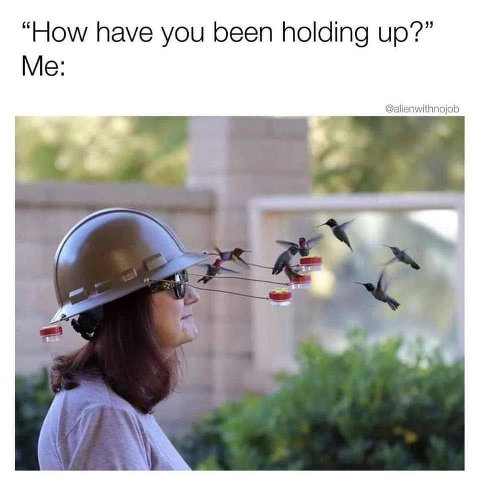 “How have you been holding up?” Me: @alienwithnojob