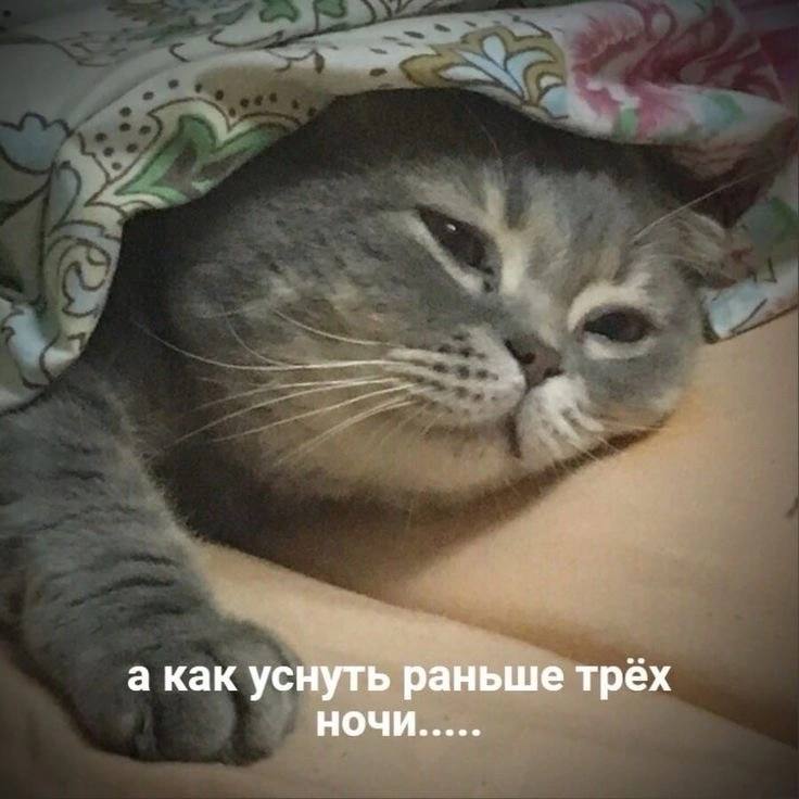 а как уснуть раньше трех НОЧИ