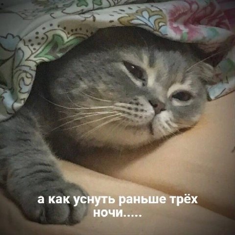 а как уснуть раньше трех НОЧИ
