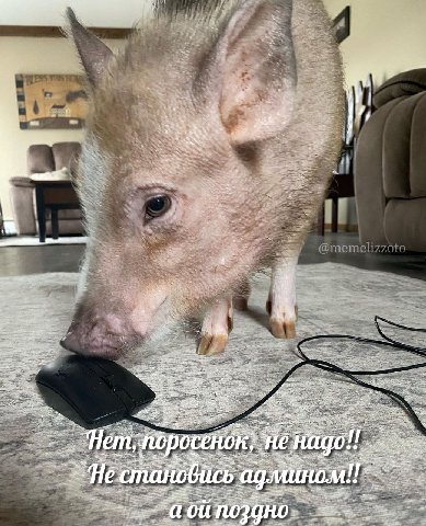 Nes к у НЕ. ино 9