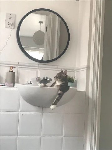 планы на день