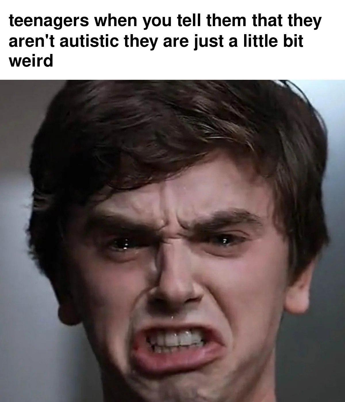 teenagers when you tell them that they aren't autistic they are just a little bit weird