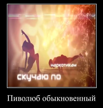 Пиволюб обыкновенный