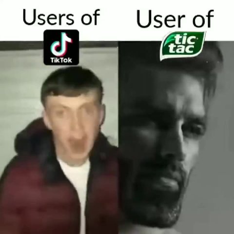 Users of User of