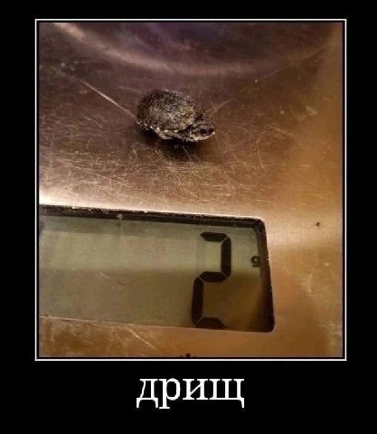 дрищ