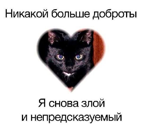 Никакой больше доброты Я снова злой и непредсказуемый
