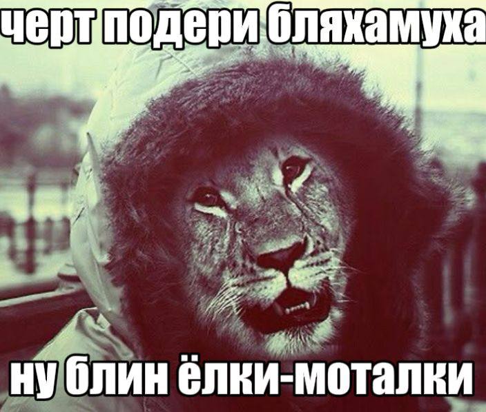 чериподери.оляхамуха 7 79 4 lie a6 нублин елки-моталки