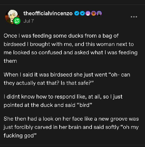 theofficialvincenzo 8 Once was feeding some ducks from а bag of birdseed brought with me, and this woman next to me looked so confused and asked what was feeding them When said it was birdseed she jus