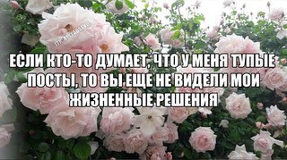 5 ЕСЛИ КТО-ТО ДУМАЕТ; ЧТО, УМЕНЯ МОИ ЖИЗНЕННЫЕ РЕШЕНИЯ:
