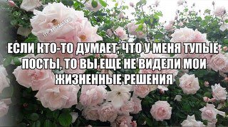 5 ЕСЛИ КТО-ТО ДУМАЕТ; ЧТО, УМЕНЯ МОИ ЖИЗНЕННЫЕ РЕШЕНИЯ: