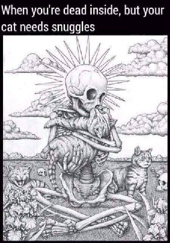 When you're dead inside, but your cat needs snuggles one Wwe Я