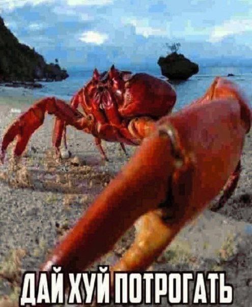 ДАЙХУЙ ПОТРОГАТЬ