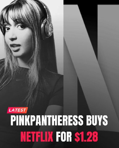 PINKPANTHERESS BUYS FOR