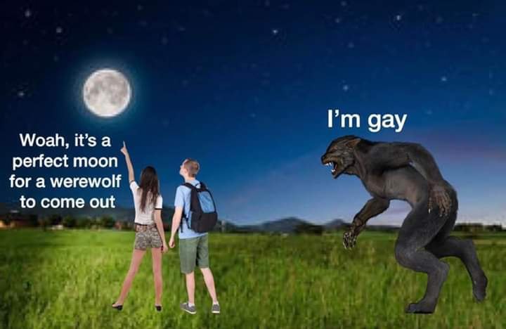 дау Woah, it’s а perfect moon 1 for a werewolf to come out