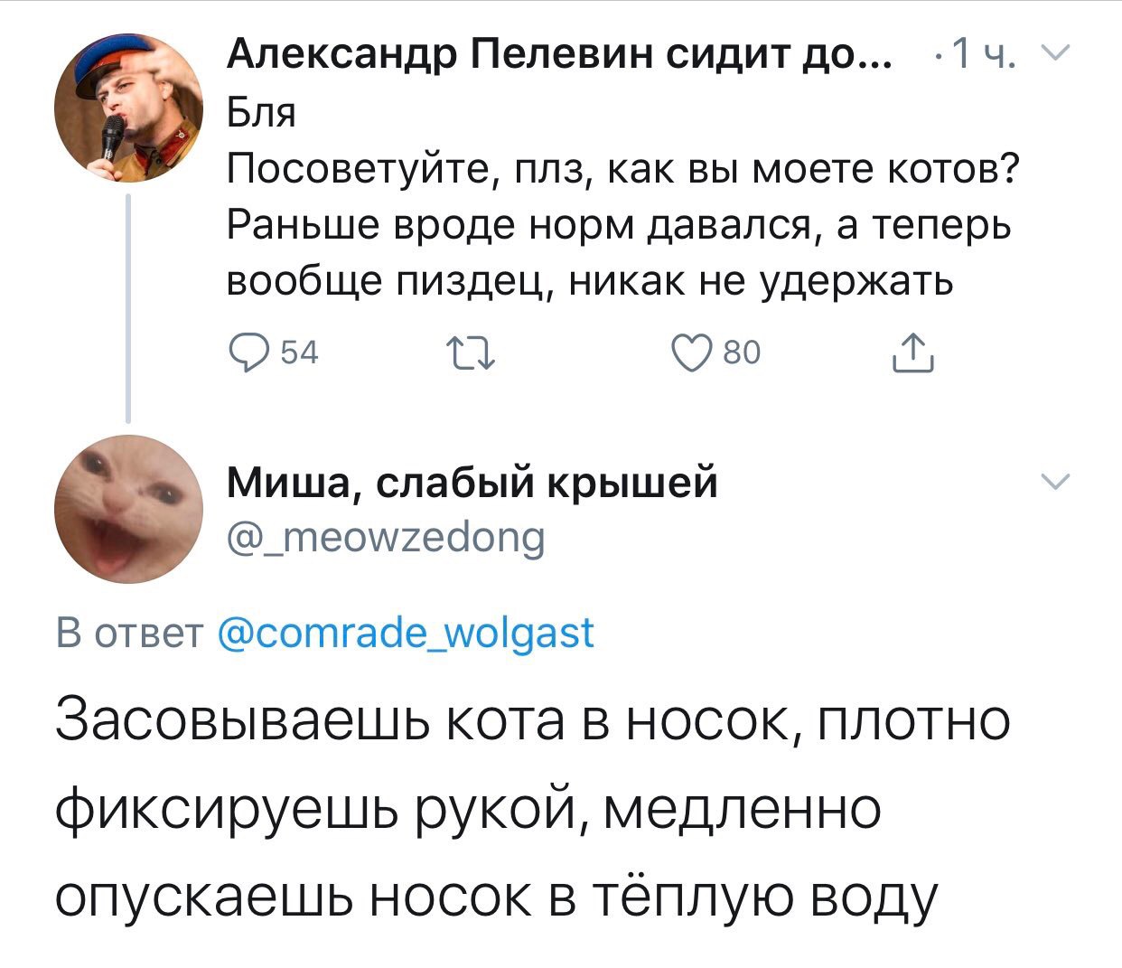 Александр Пелевин сидит до... -14. Бля Посоветуйте, плз, как вы моете котов? Раньше вроде норм давался, а теперь вообще пиздец, никак не удержать во Миша, слабый крышей @_meowzedong В ответ @comrade_w