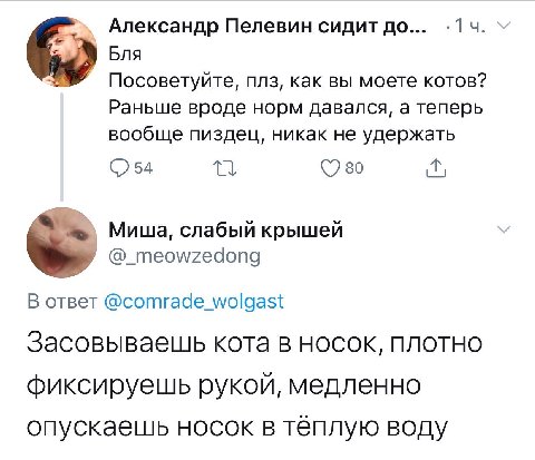 Александр Пелевин сидит до... -14. Бля Посоветуйте, плз, как вы моете котов? Раньше вроде норм давался, а теперь вообще пиздец, никак не удержать во Миша, слабый крышей @_meowzedong В ответ @comrade_w