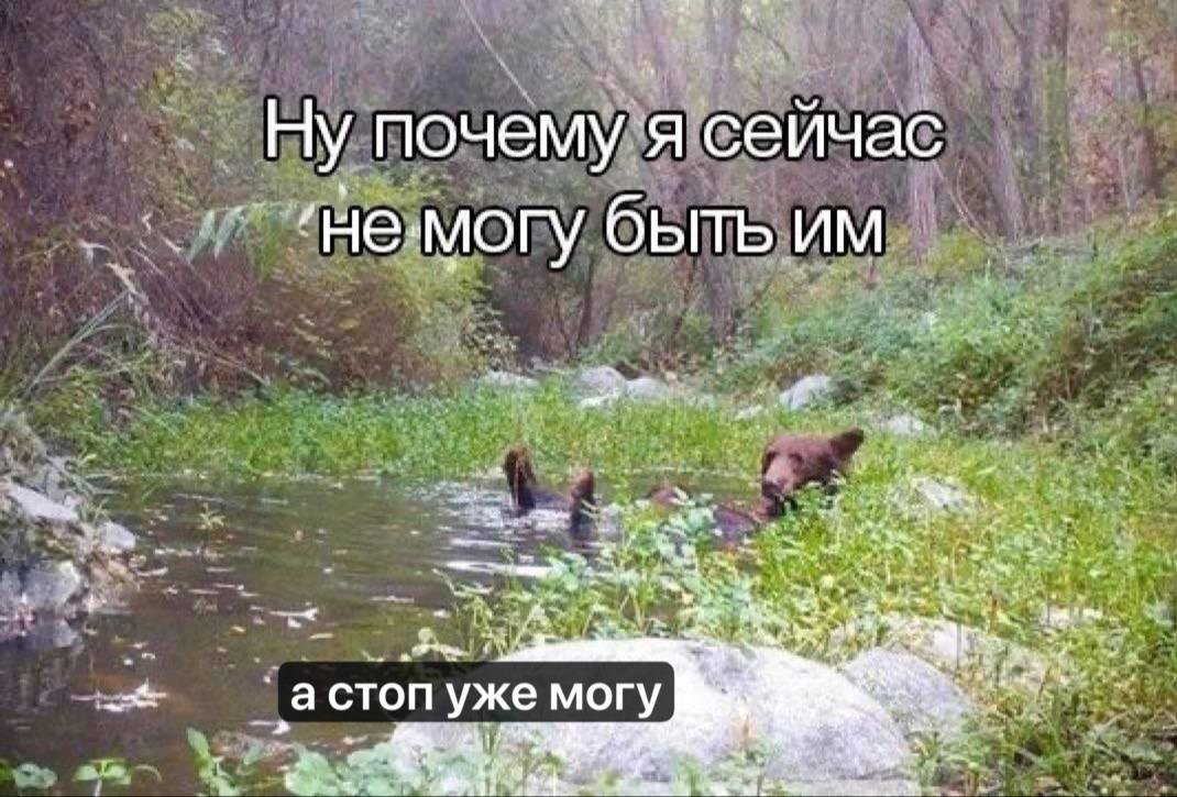 Ну почему я сейчас быть we a a СТОП уже 1