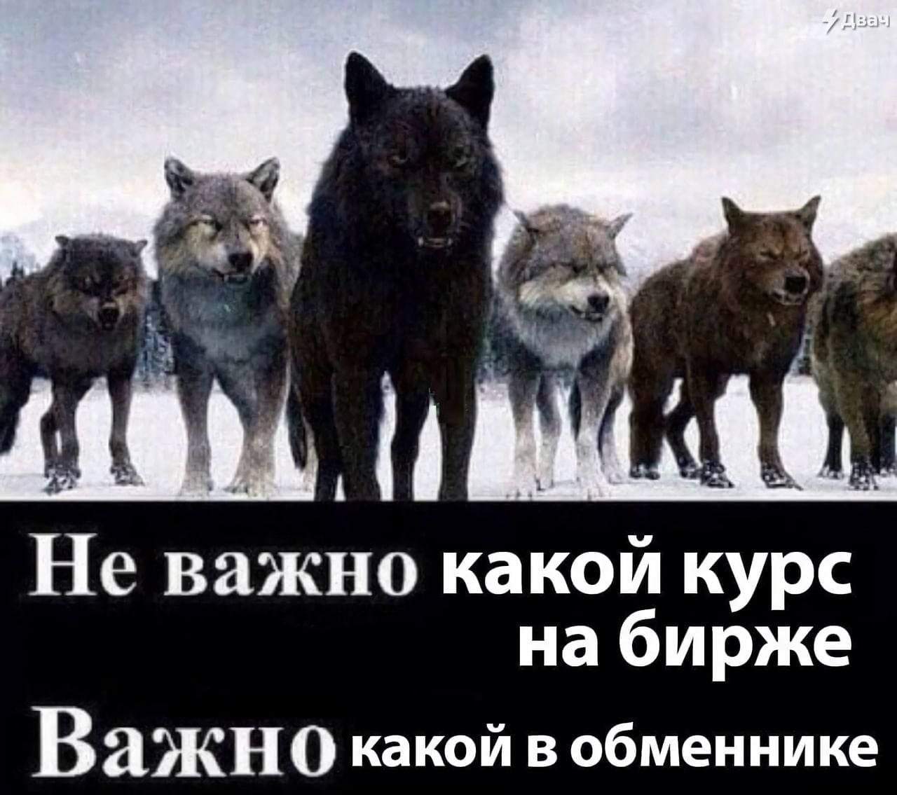 Не важно какой курс Важно какой в обменнике