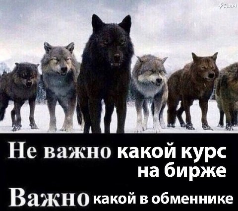 Не важно какой курс Важно какой в обменнике