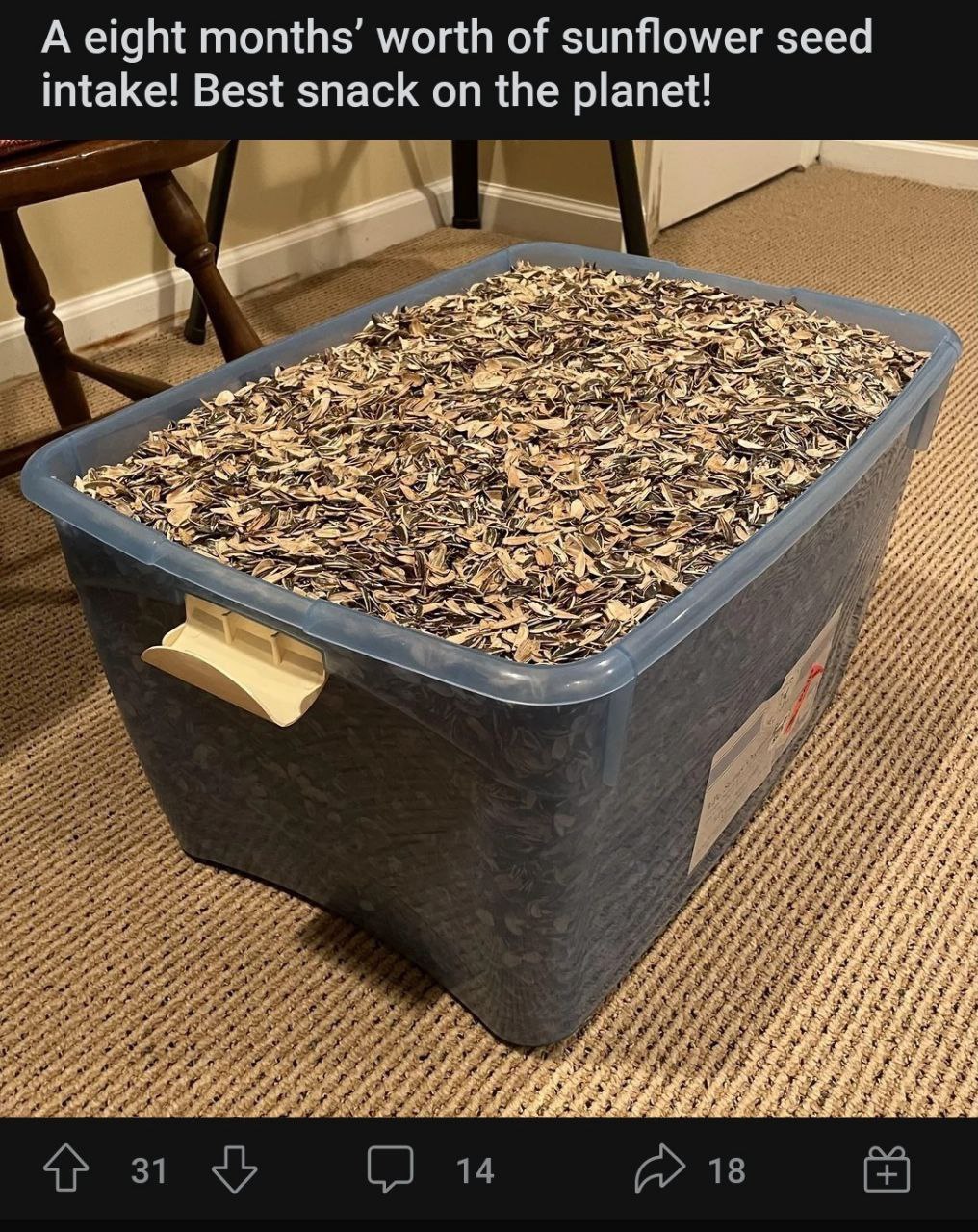 A eight months’ worth of sunflower seed intake! Best snack on the planet!