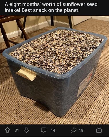 A eight months’ worth of sunflower seed intake! Best snack on the planet!