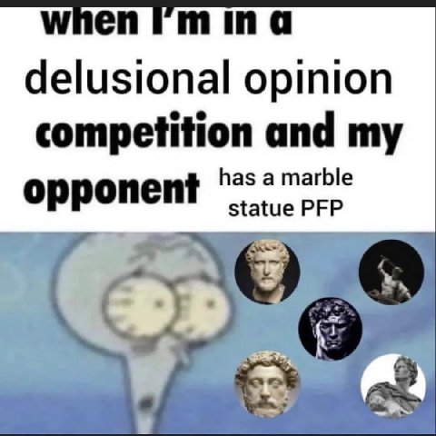 delusional opinion competition and my oppone has a marble statue PFP