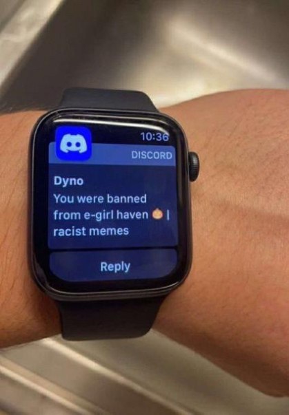 10:38 DISCORD Dyno You were banned from e-girl haven racist memes Reply