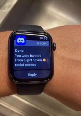 10:38 DISCORD Dyno You were banned from e-girl haven racist memes Reply