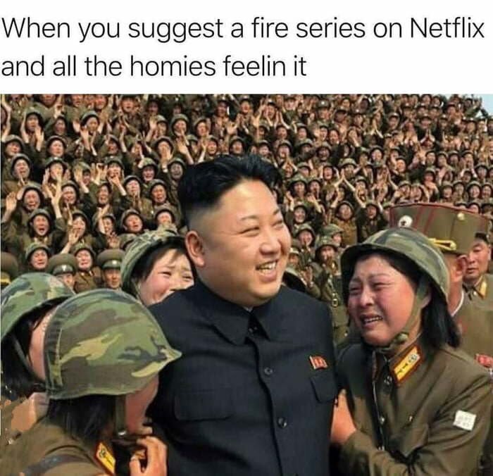 When you suggest a fire series Netflix and all the homies feelin it