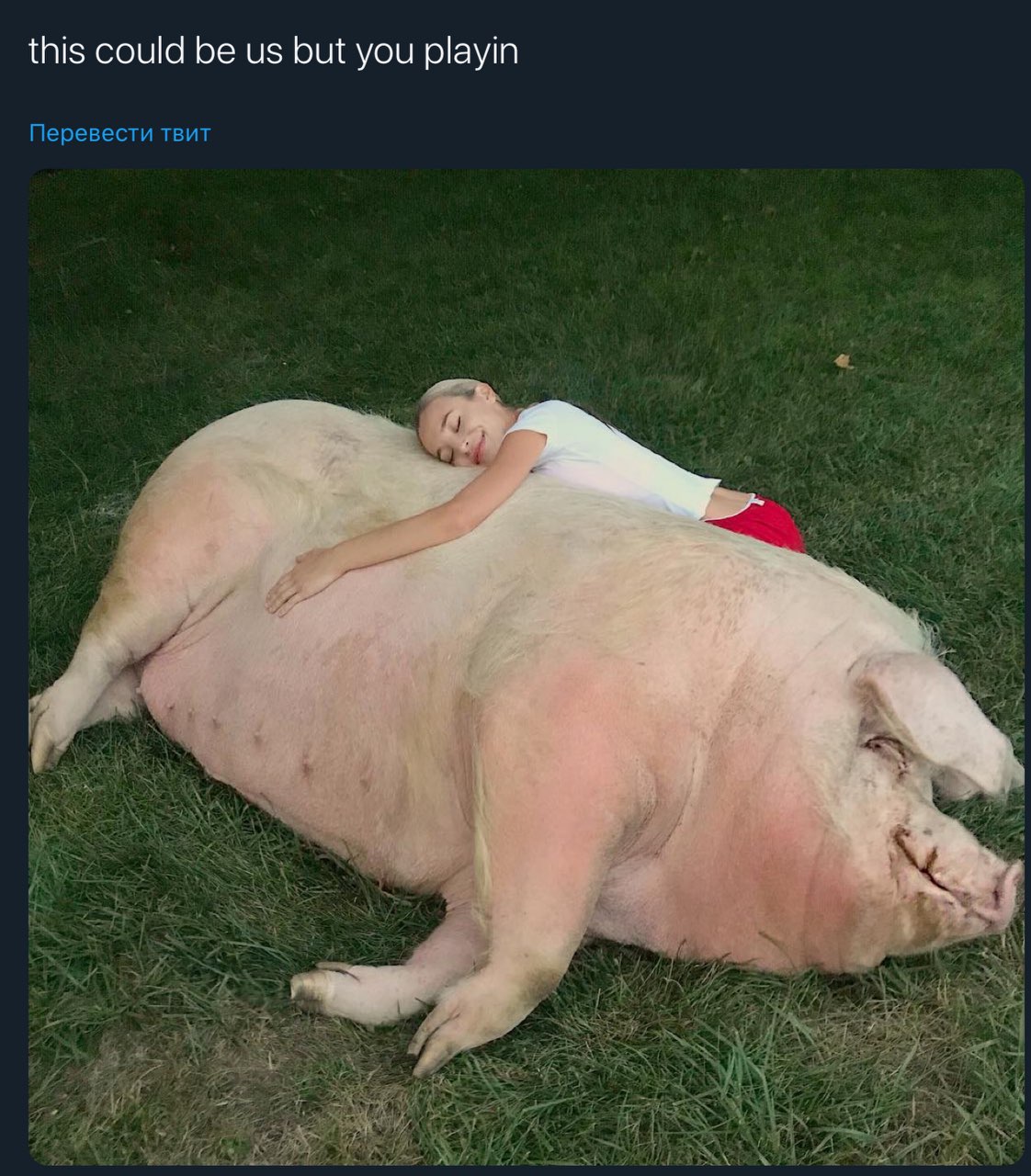 this could be but you playin Перевести твит 3 7. A у 4] 5
